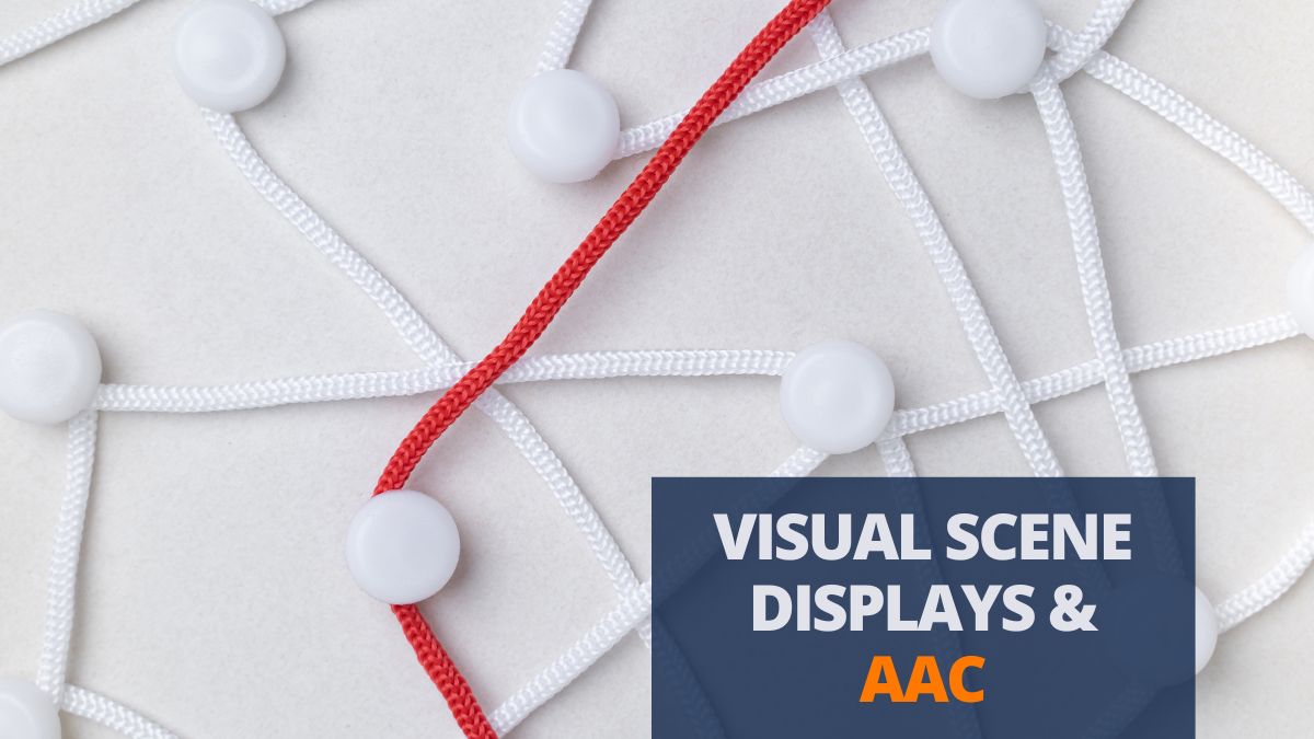 visual scene displays and aac